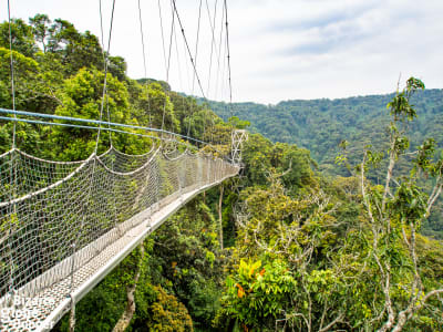 Nyungwe National Park