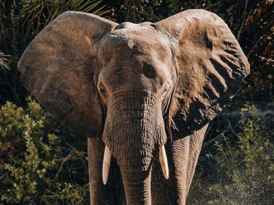 Lake Manyara National Park.
