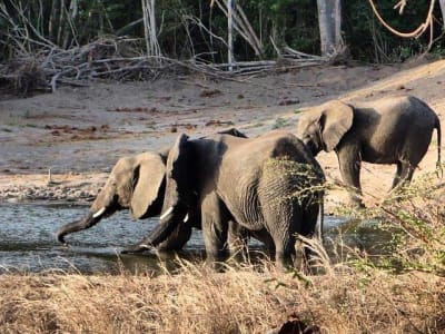 DAY TRIP TO LAKE MANYARA NATIONAL PARK