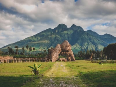 4 DAYS GORILLA TREKKING & GOLDEN MONKEYS SAFARI EXPERIENCE IN RWANDA