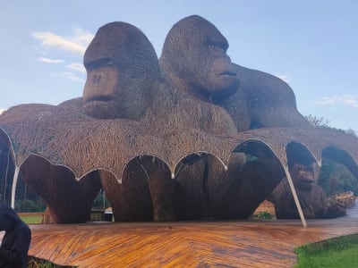 2 Days for Gorilla trekking