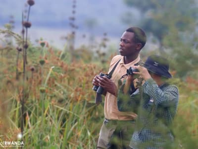 5 Days Birding Safari in Rwanda