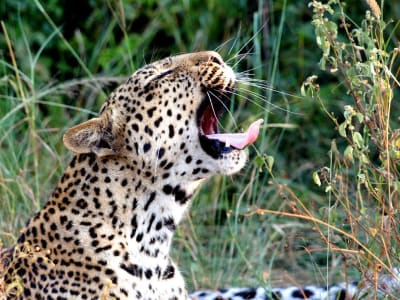 queen elizabeth national park