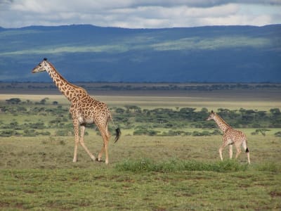 Serengeti National Park