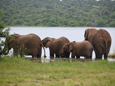 5 Days / 4 Nights Remarkable Rwanda/ Akagera National Park
