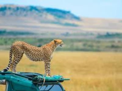 Serengeti National Park