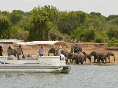 2 DAYS AKAGERA NATIONAL PARK WILDLIFE SAFARI AND BOATING