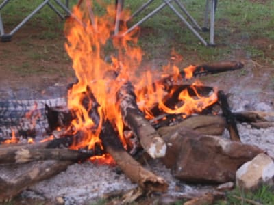 4 days / 3 Nights Camping Experience in Akagera National Park with AMOUR