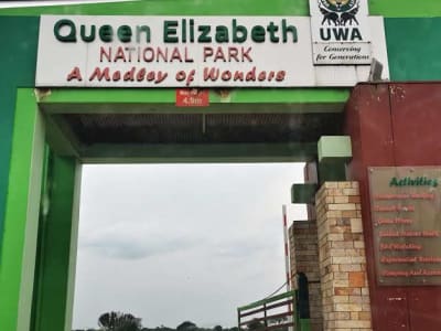 5-Day Mountain Gorillas & Tree Climbing Lions Budget Tour