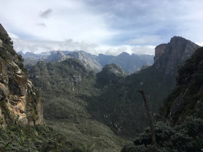 Rwenzori mountains