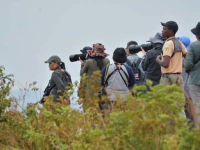 9 Days Birding Safari Tour Rwanda and Uganda