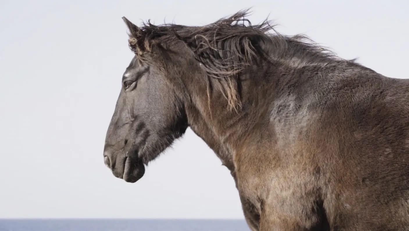 THINK SOUTH FOR THE NEXT 2020