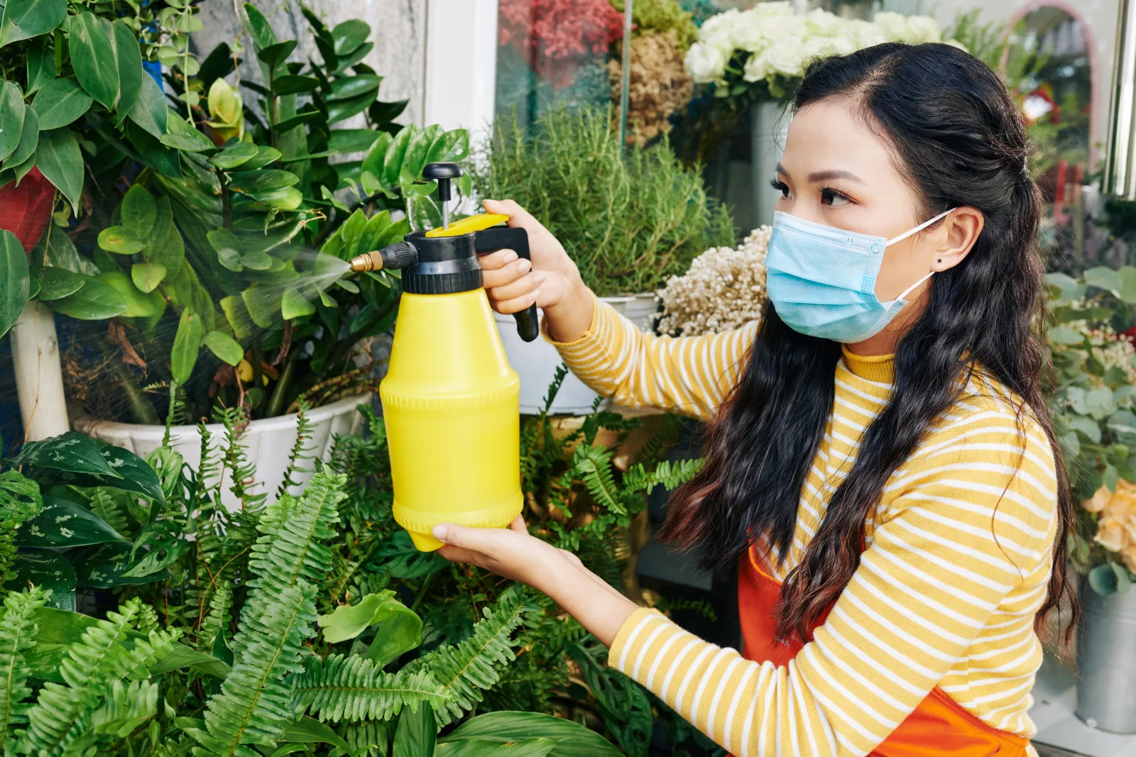 image_pestcontrol