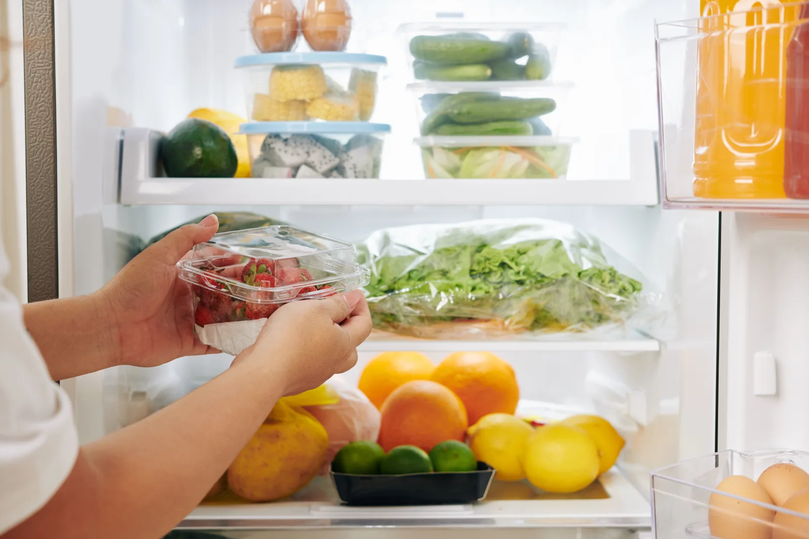 image_food_safety_fridge