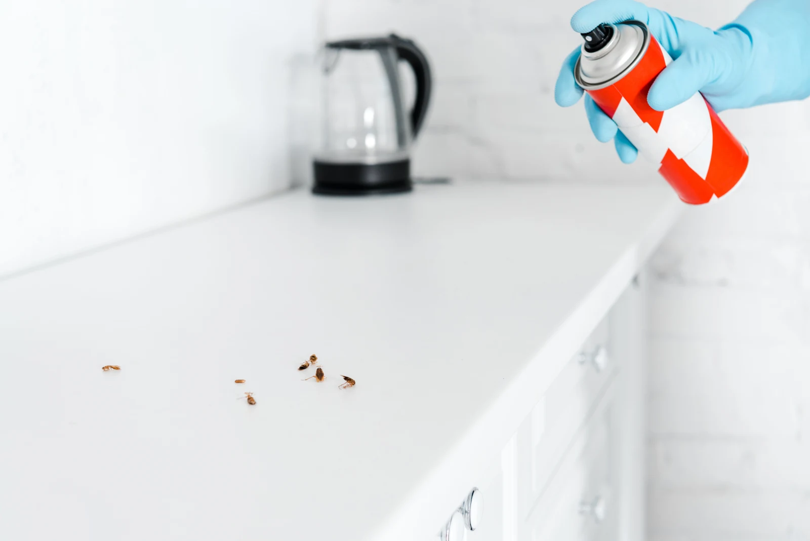  image_kitchen_cleaning.