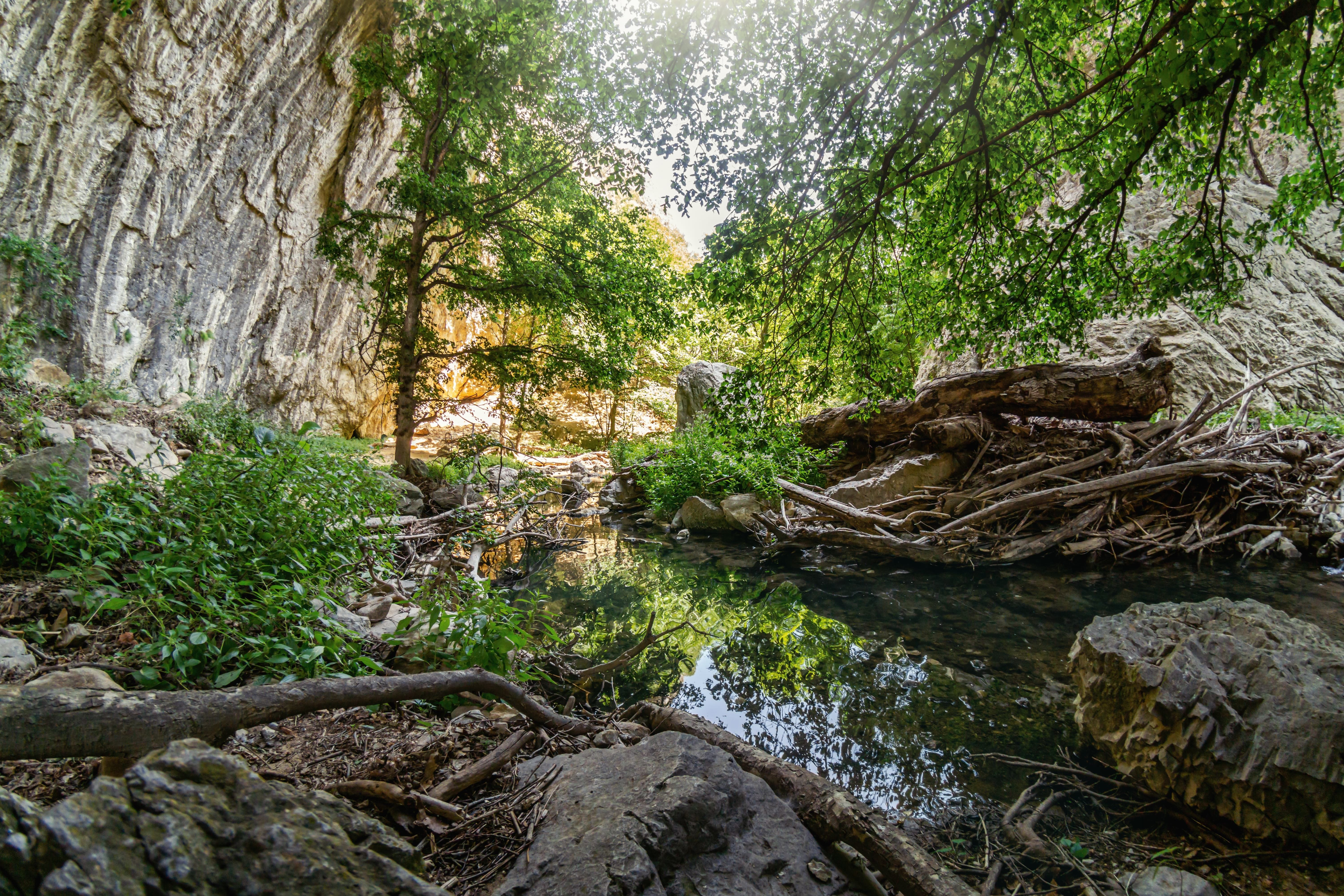 Medi Ambient