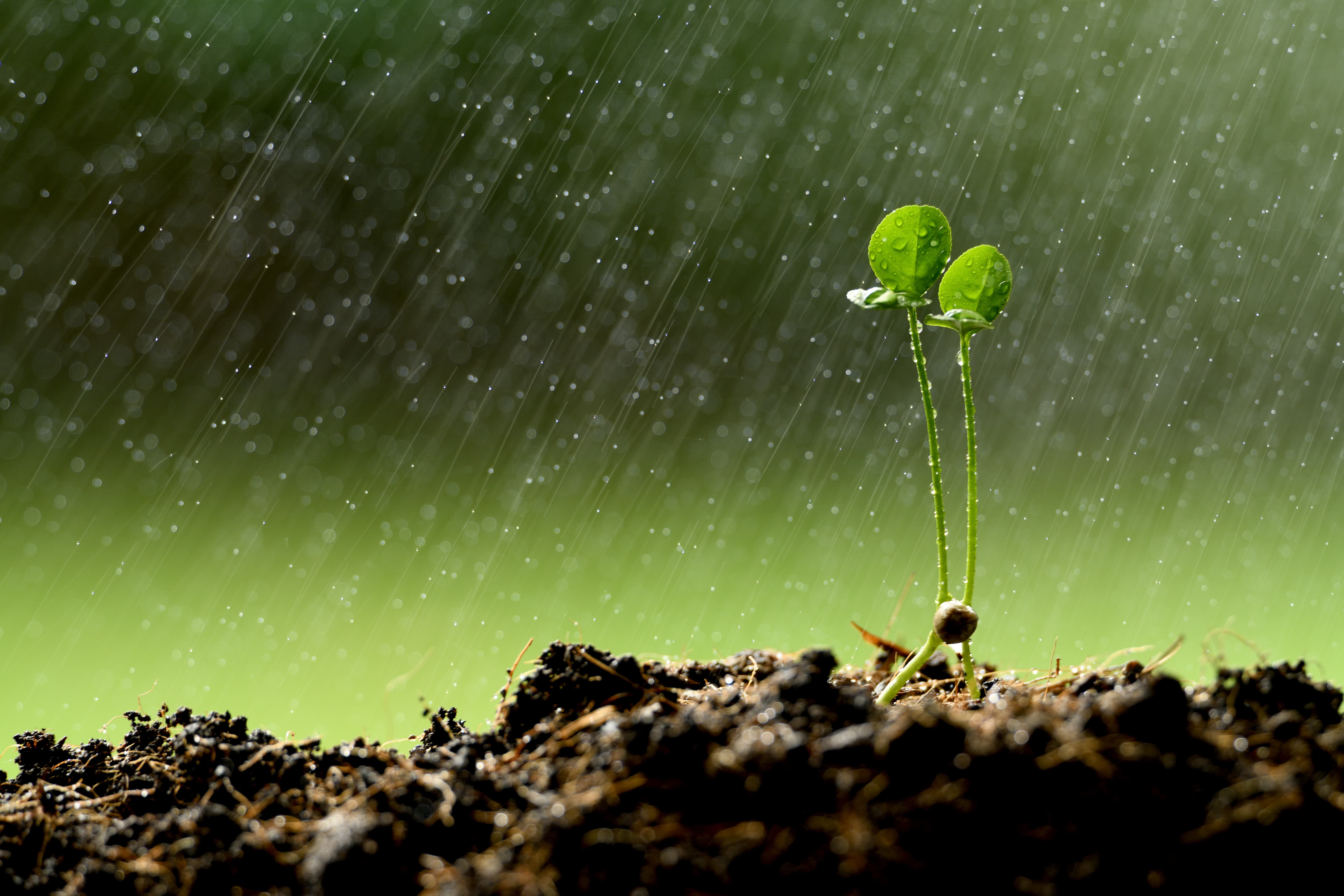 Organisme de Control Ambiental