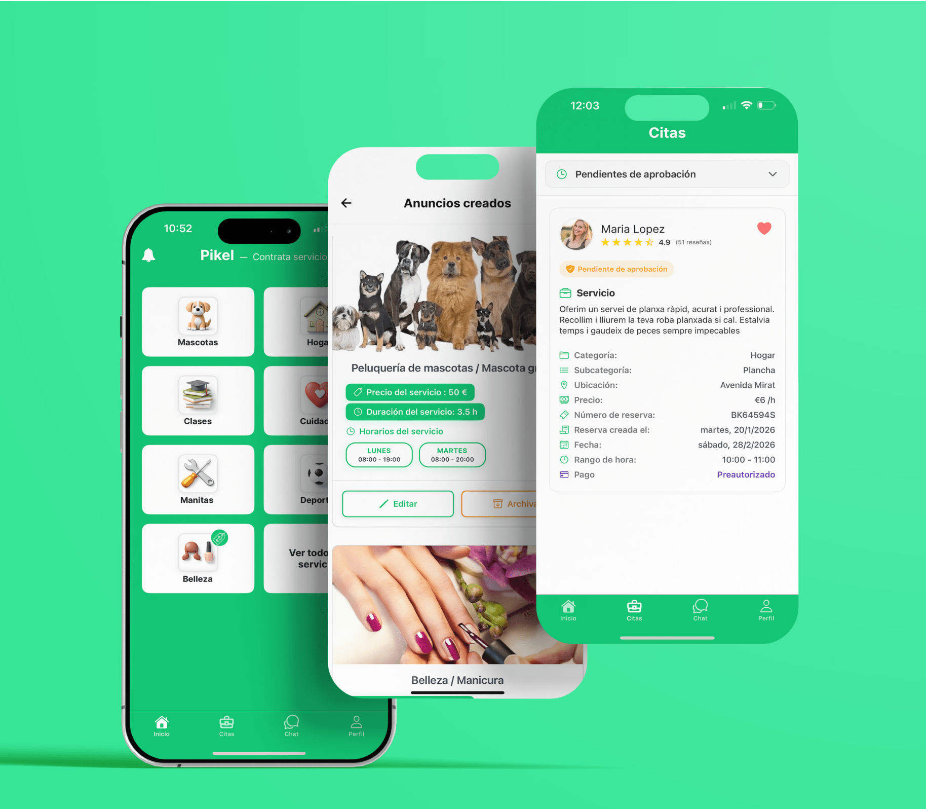 Pikel project preview on mobile screen