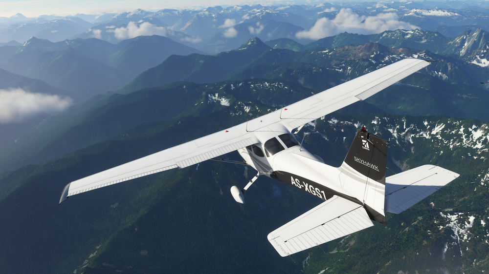 Flight Simulator Support