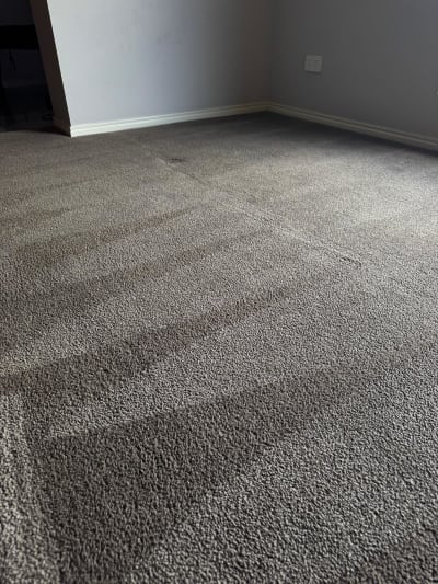 Carpet Cleaning in Melbourne photo 3