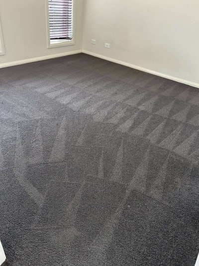 Carpet Cleaning in Melbourne photo 5