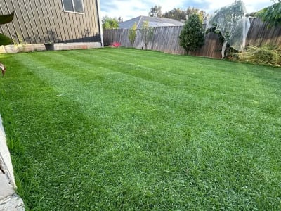 Lawn Mowing in Melbourne photo 3