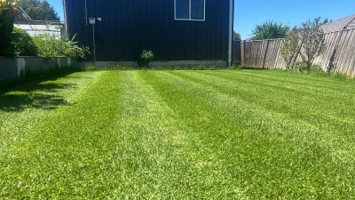 Lawn Mowing in Melbourne photo 4
