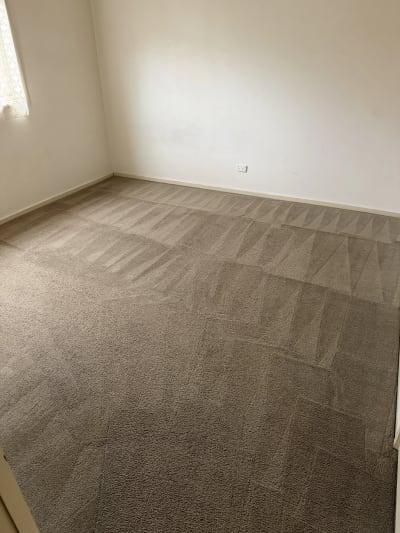 Carpet Cleaning in Melbourne photo 1
