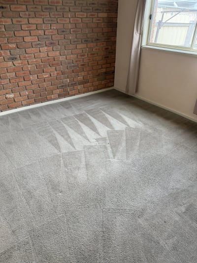 Carpet Cleaning in Melbourne photo 2