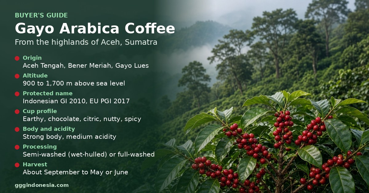 Gayo Arabica Coffee: A Buyer's Guide for Importers