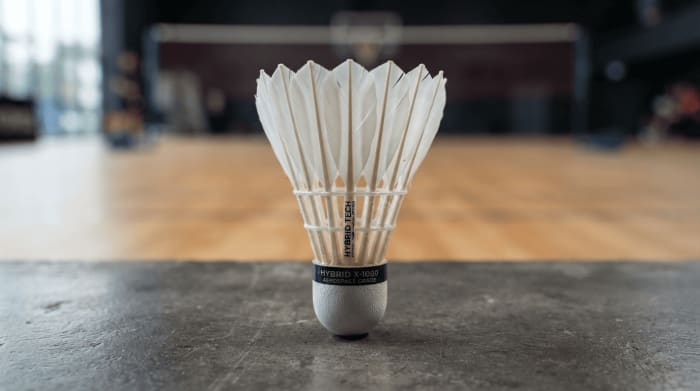 Feather badminton shuttlecocks