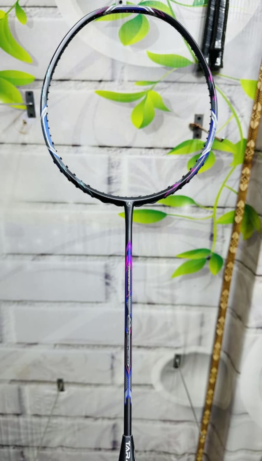 Trans Champion 50 Original – Power 35, Weight 80–85 g