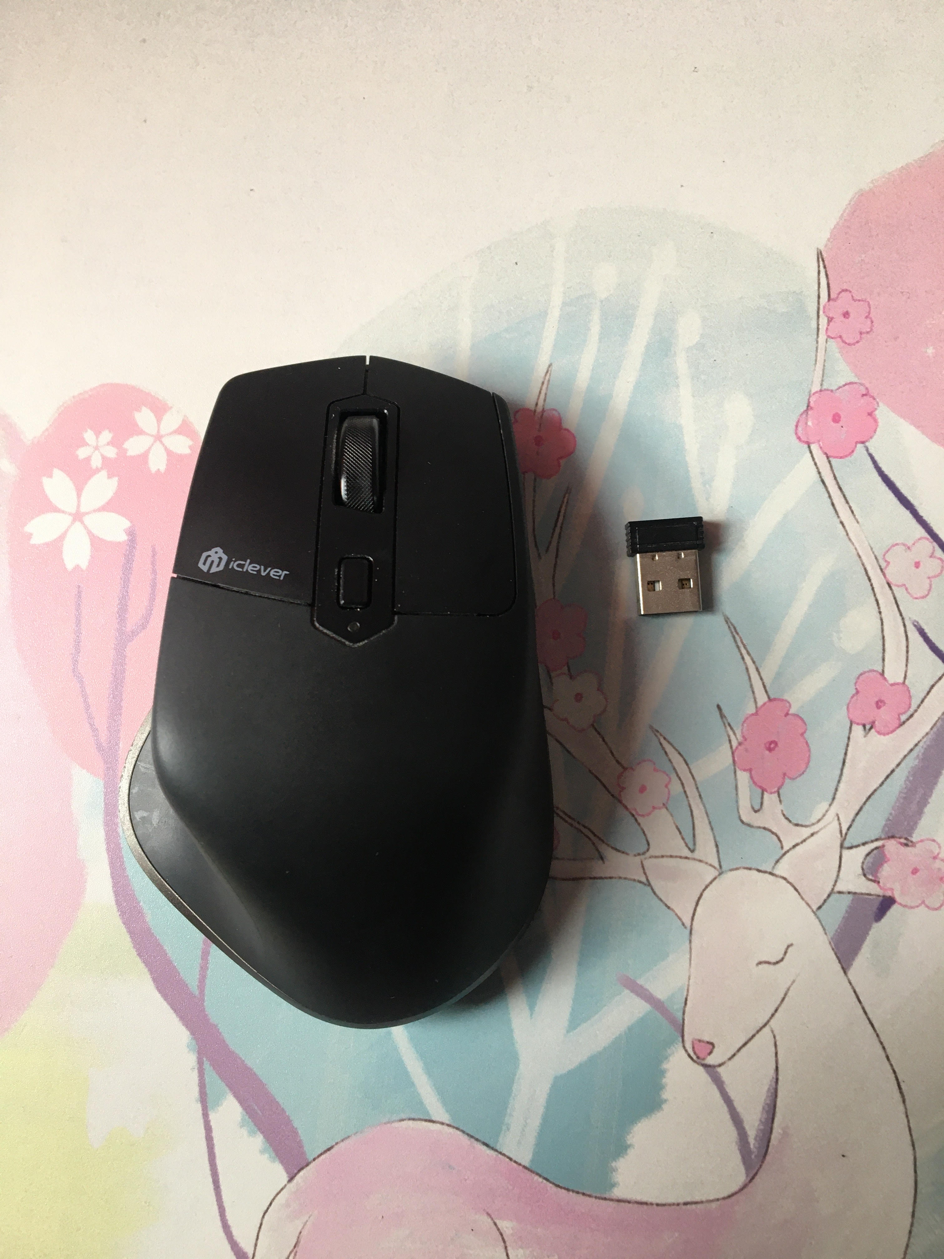 Wireless Mouse IClever