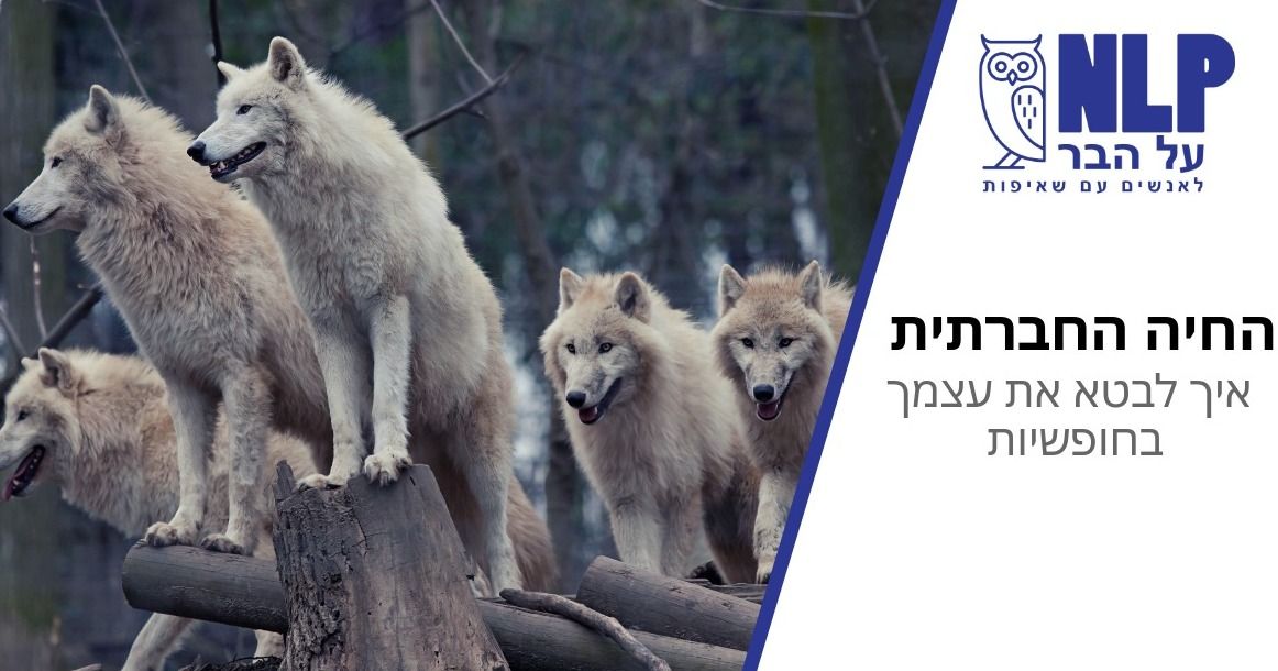 מבוטל!!!!הרצאה: החיה החברתית -איך לבטא את עצמך בחופשיות – מבוטל!!!