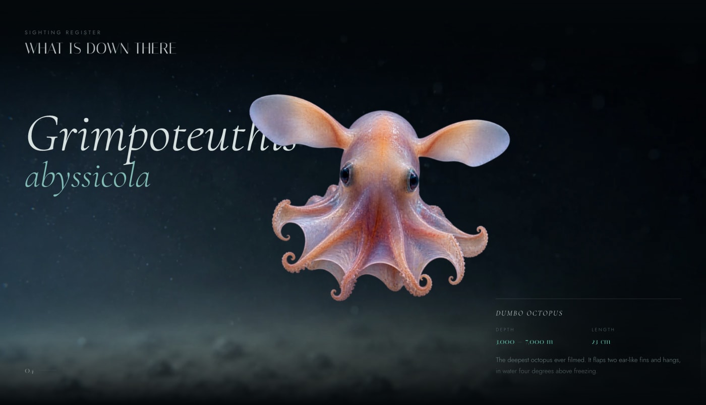 Nereus — detail 2