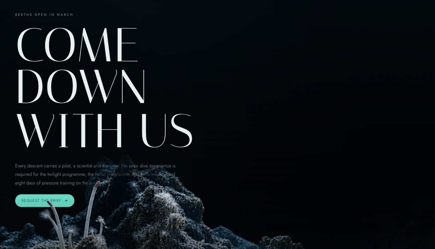 Nereus — detail 8