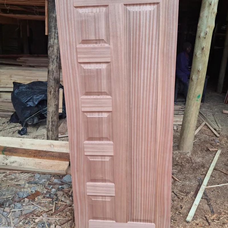 Doors 