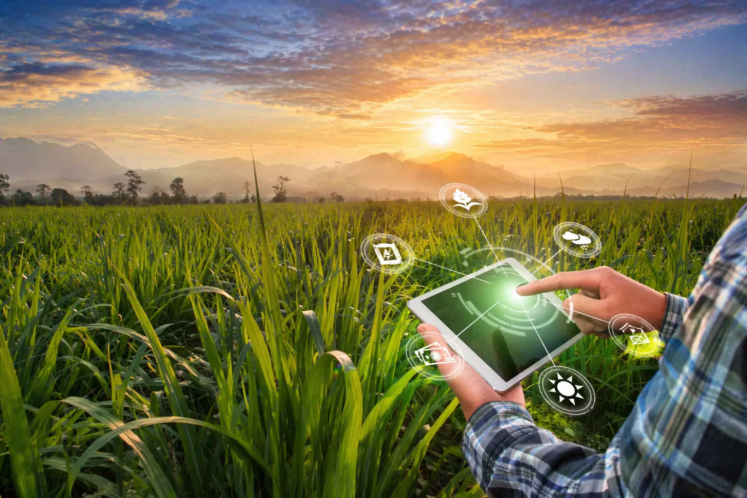 Agriculture field monitoring