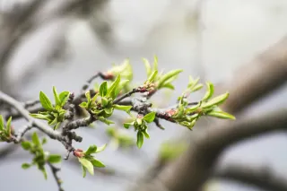 Ілюстративне фото / www.pexels.com