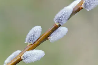 Ілюстративне фото / www.pexels.com