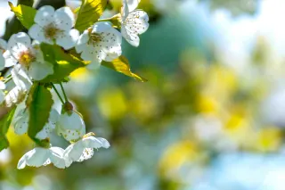 Ілюстративне фото / www.pexels.com
