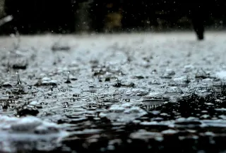 Ілюстративне фото / www.pexels.com