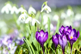 Ілюстративне фото / www.pexels.com