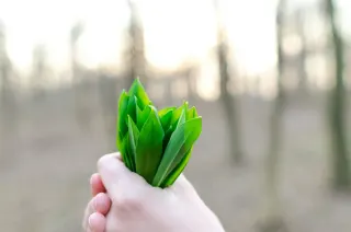 Ілюстративне фото / www.pexels.com