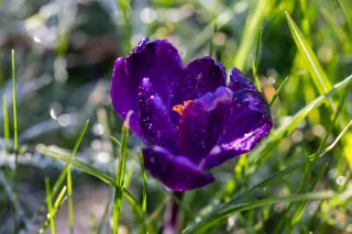 Ілюстративне фото / www.pexels.com