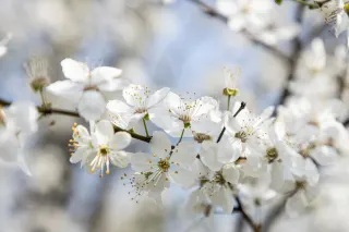 Ілюстративне фото / www.pexels.com