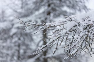 Ілюстративне фото / www.pexels.com