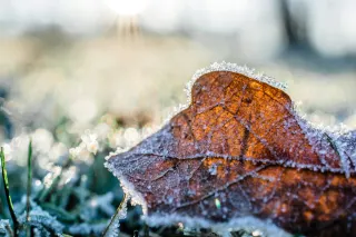Ілюстративне фото / www.pexels.com