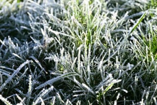 Ілюстративне фото / http://www.pexels.com/