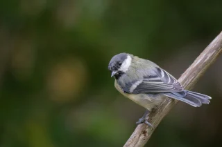 Ілюстративне фото / www.pexels.com